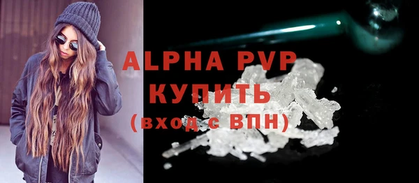 индика Балахна