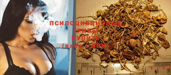 индика Балахна