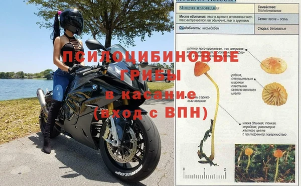 индика Балахна
