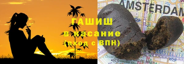 индика Балахна